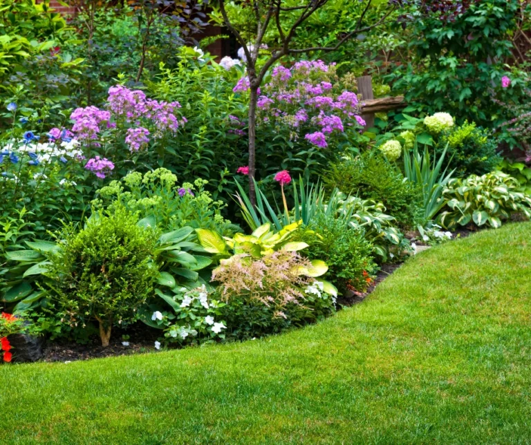 Tuinplanten water geven: praktische tips voor een sterke tuin