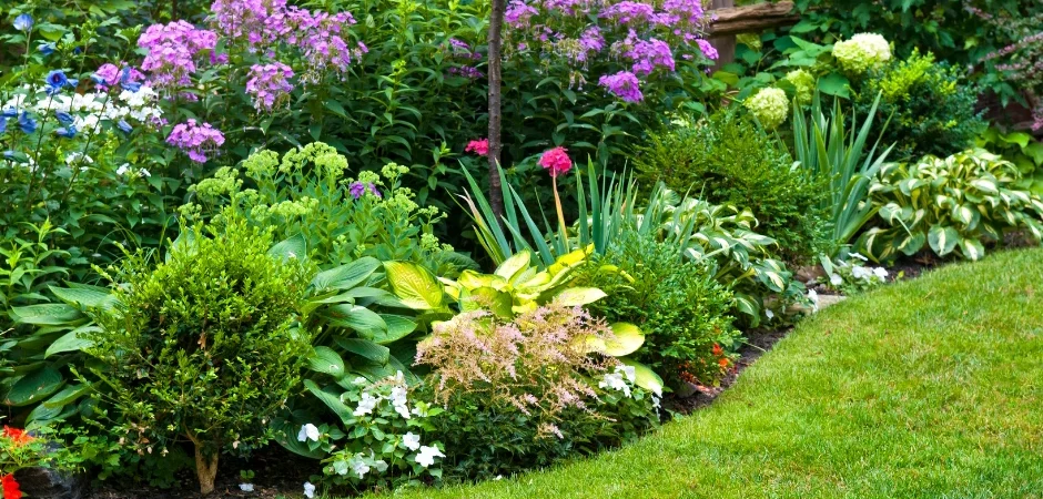 Tuinplanten water geven: praktische tips voor een sterke tuin